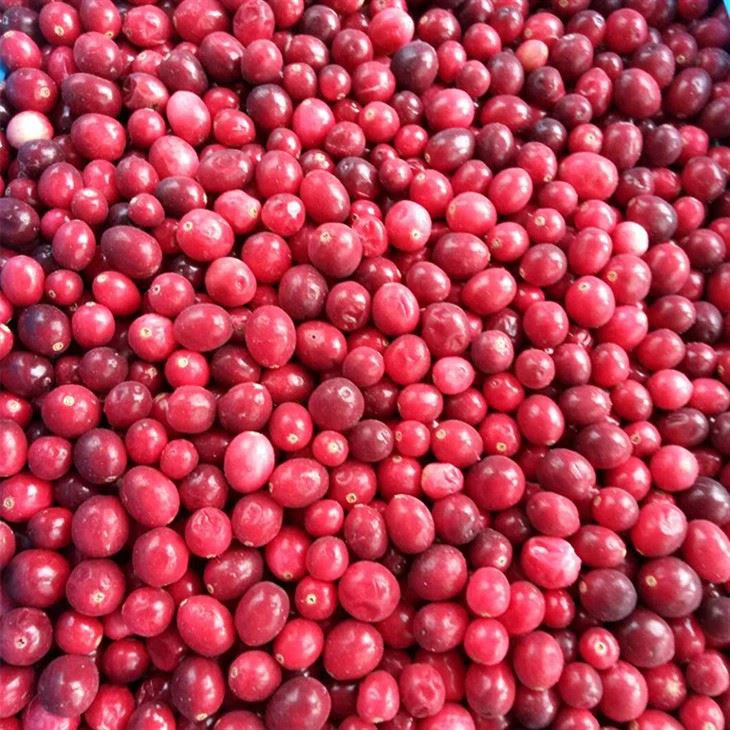 Frozen  Cranberries