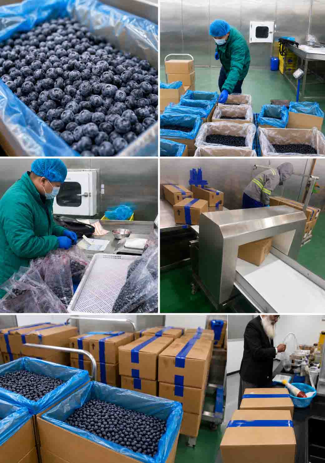 GreenLand-food frozen vegetables and fruits factory building for export supply GreenLand-food frozen vegetables and fruits factory building for export supply